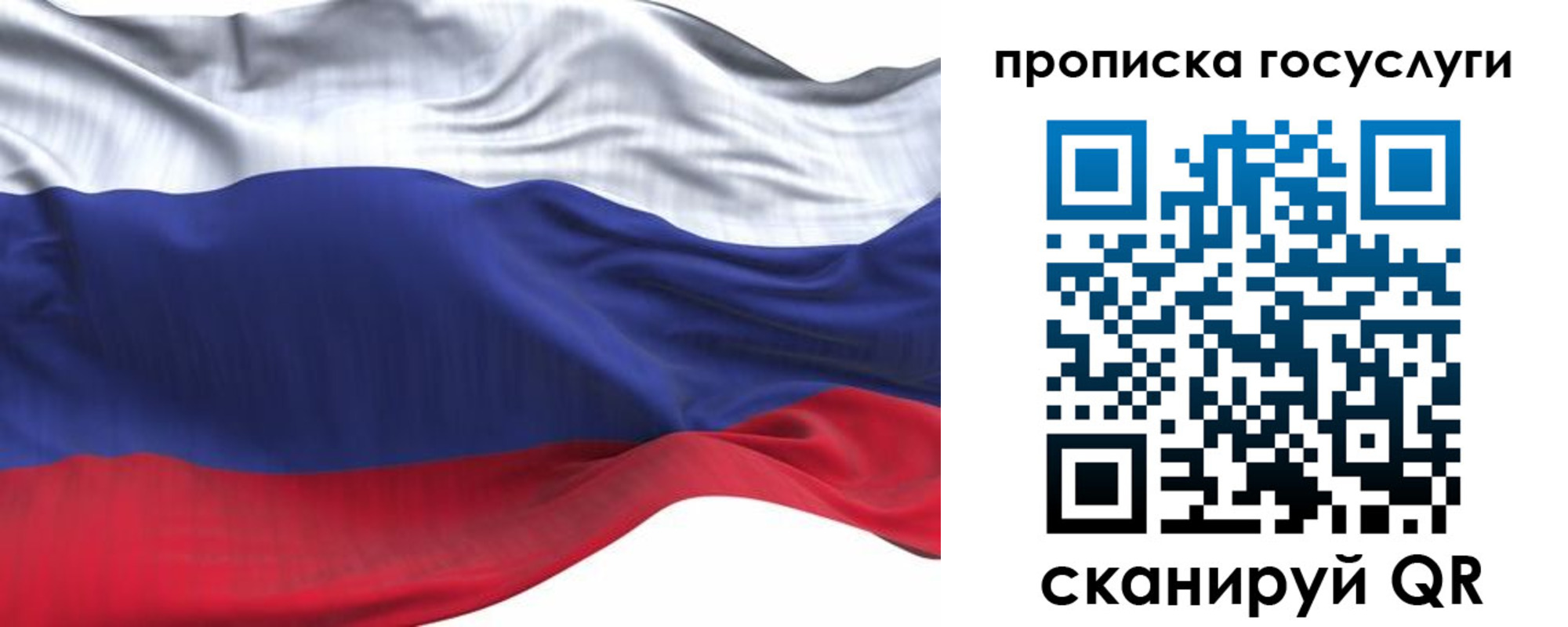 прописка для школы в Светлом